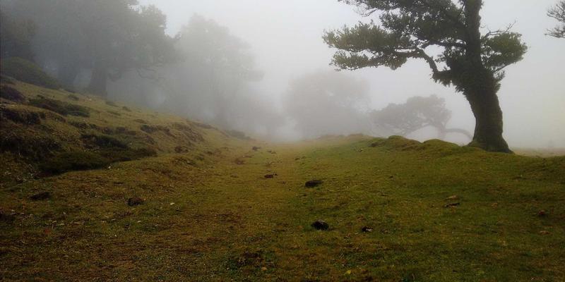 2024年值得投资的五大高清电影蓝光碟收藏版推荐与评测：从TS HD GM到在线影视的终极收藏指南