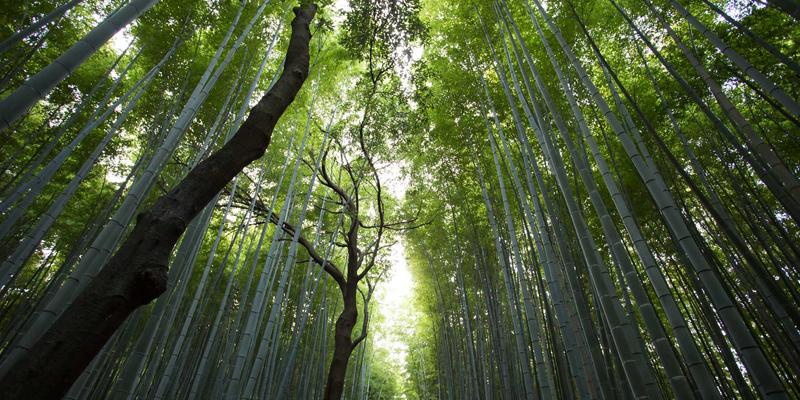 HDR10+对决杜比视界：哪种动态HDR格式让你的高清电影体验更震撼？