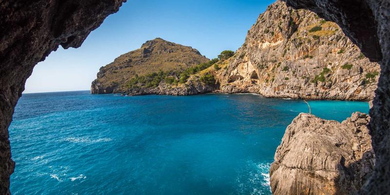 HEVC与AV1编码深度对比：谁将主宰下一代高清电影与免费观影体验？