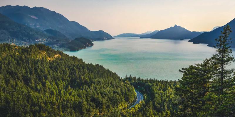 从在线影视到TS HD GM：解码高清电影发展的三大核心趋势