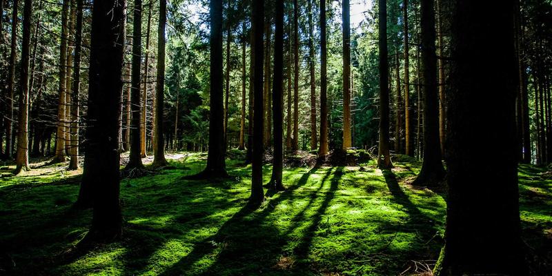 从《沙丘》到《瞬息全宇宙》：高清电影如何重塑在线影视的观看与商业模式
