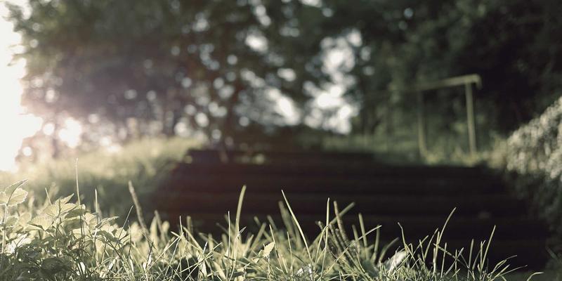 免费观影新境界：从娱乐资源到色彩科学，揭秘高清电影背后的视觉魔法