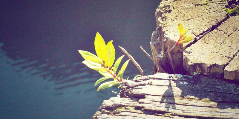 告别在线影视平台限制：手把手教你搭建私人高清电影库（NAS选购、管理与自动化整理全攻略）