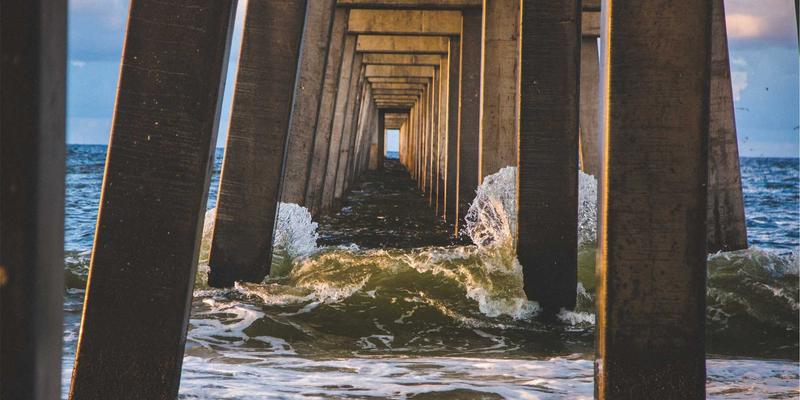 小众导演高清蓝光套装收藏指南：CC标准收藏之外的宝藏选择与免费观影资源