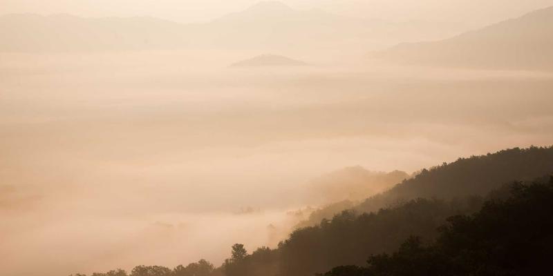 户外电影之夜终极指南：如何用便携高清投影仪与抗光幕布打造免费高清影院