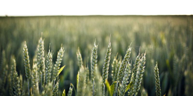 手机与平板终极优化指南：解锁免费高清电影与娱乐资源的完美观影体验