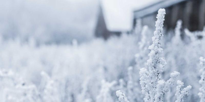 高清电影31：解锁免费观影新体验，畅享在线影视娱乐资源