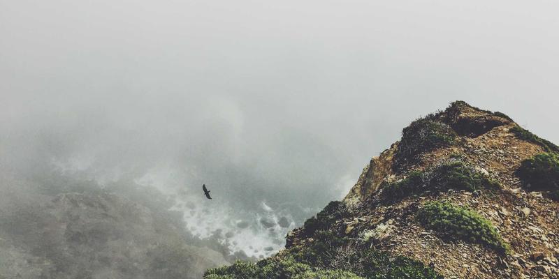 高清电影4：解锁娱乐资源新体验，在线影视与免费观影全指南