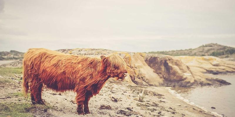 高清电影90：探索娱乐资源新纪元，TS HD GM与在线影视的深度解析