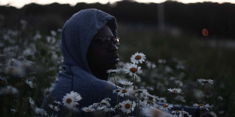 高清电影99：探索TS HD GM等娱乐资源的正确打开方式