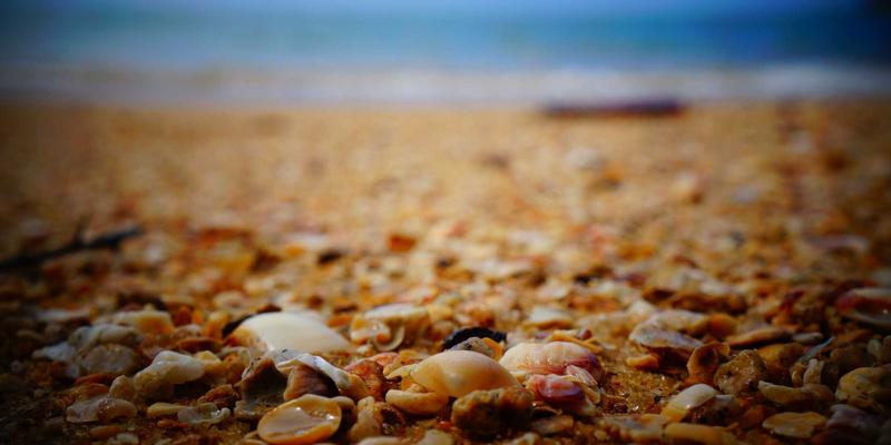 高清电影：数字时代的娱乐资源革命与在线影视新体验